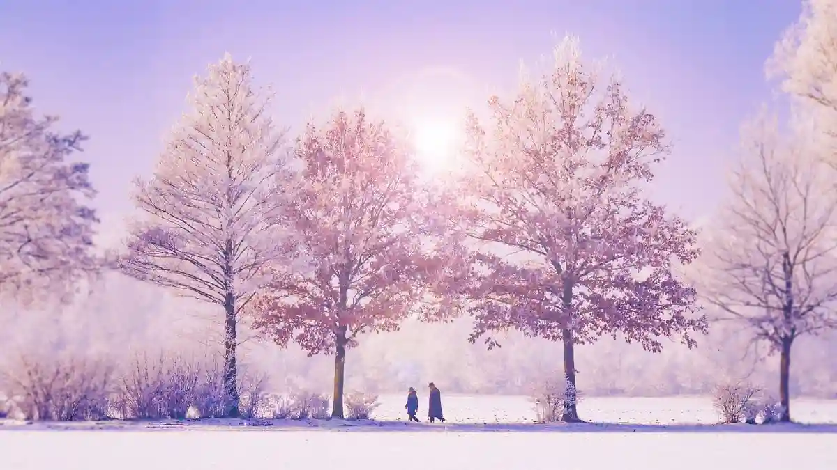 [2025] A roundup of popular winter festivals: Music festivals for the cold season