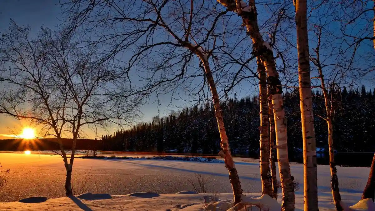 Winter Music Festivals in Eastern Japan [2025]