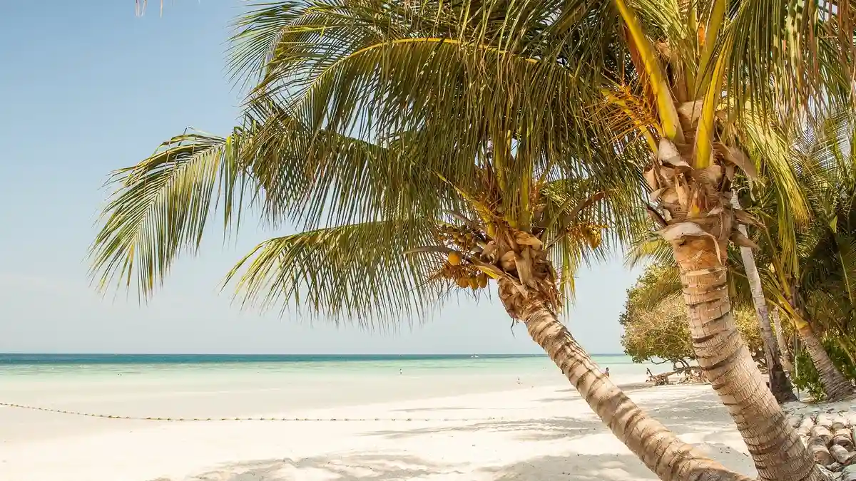 東日本で開催される夏の音楽フェス【2025】