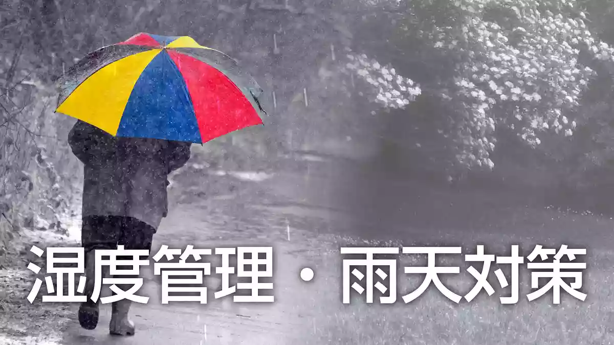 楽器や機材の湿度管理、雨天対策について