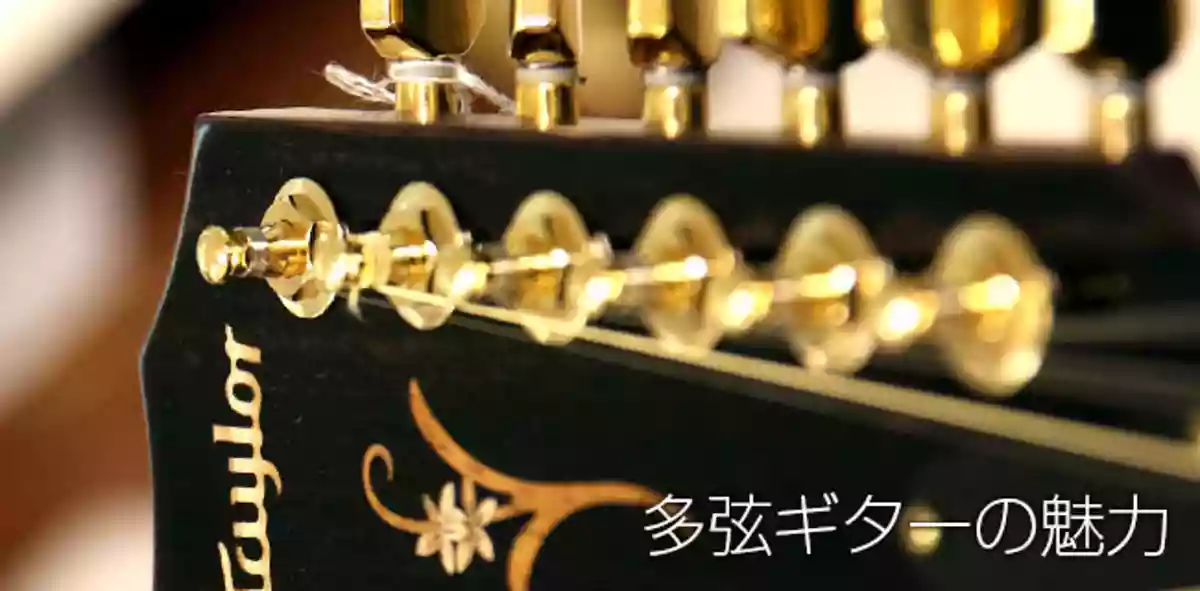 7弦ギターや12弦ギターなど多弦ギターの魅力