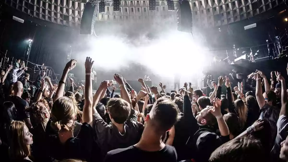 ライブ後の耳鳴りの正体!?音響外傷とは？