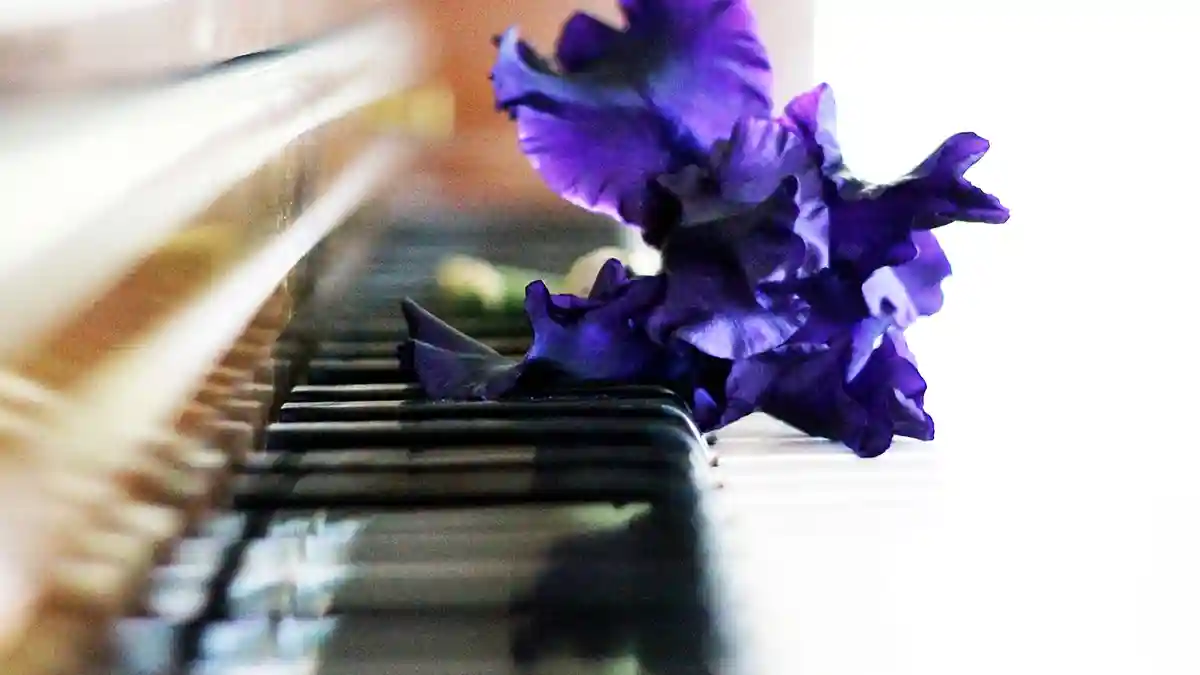 A piano teacher analyzes BABYMETAL by key. BABYMETAL DEATH, Megitsune, and more.