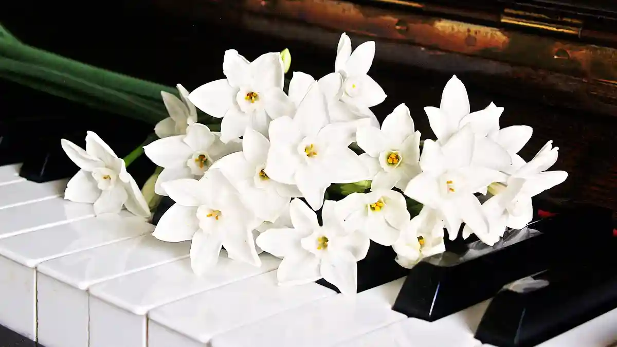 Piano teacher analyzes BABYMETAL by key: GJ!, THE ONE, and more