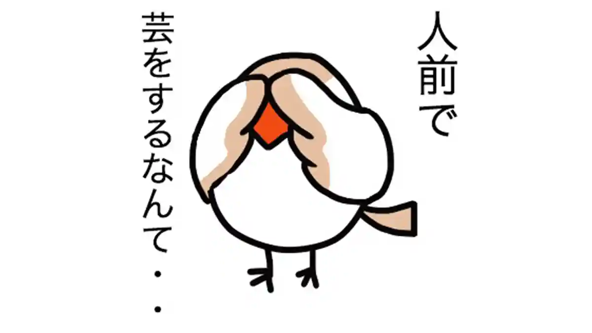 피아노 발표회는 나가지 않으면 안 돼?