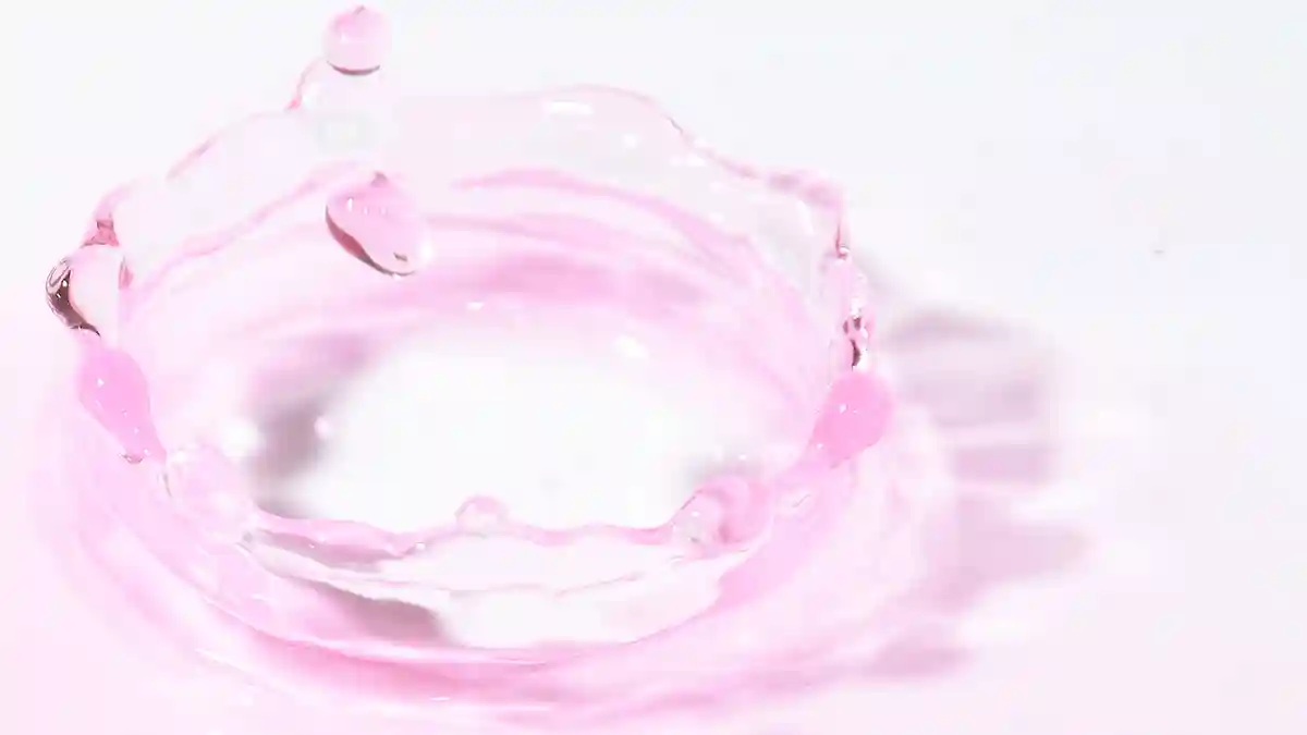 야마가타 문화제 캘린더. 대학·단기의 학원제 일정 총정리【2026】