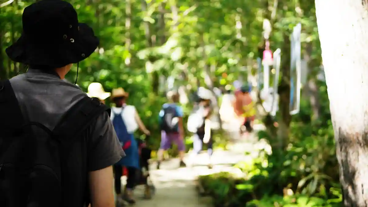 I want to enjoy myself freely, on my own! Music festivals recommended for solo attendees.