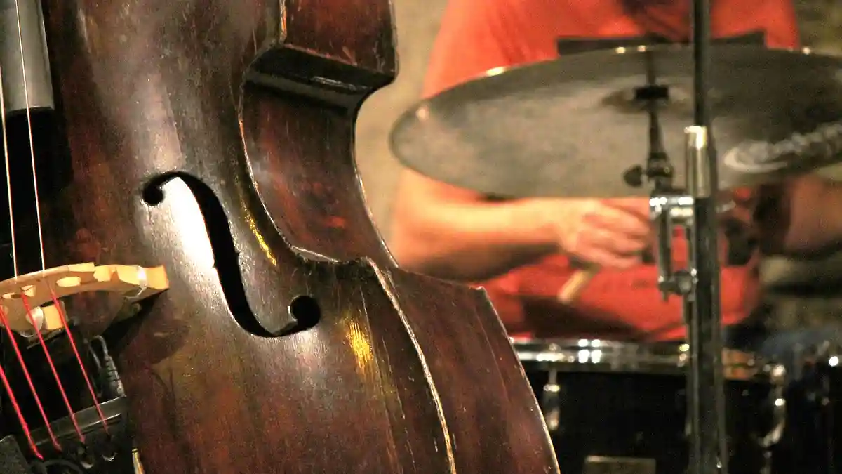 【吹奏楽部のための】よくあるコントラバスに関する質問まとめと新年度に向けての準備