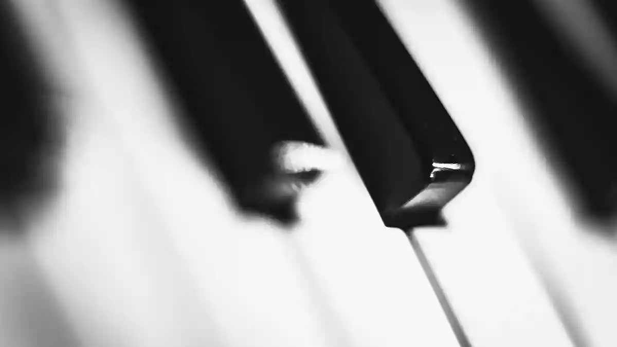 電子ピアノにおける鍵盤・タッチの重要性。メーカー別の特徴