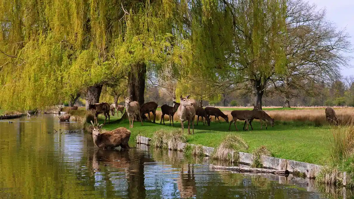 兵庫の文化祭カレンダー。大学・短大の学園祭日程まとめ【2025】