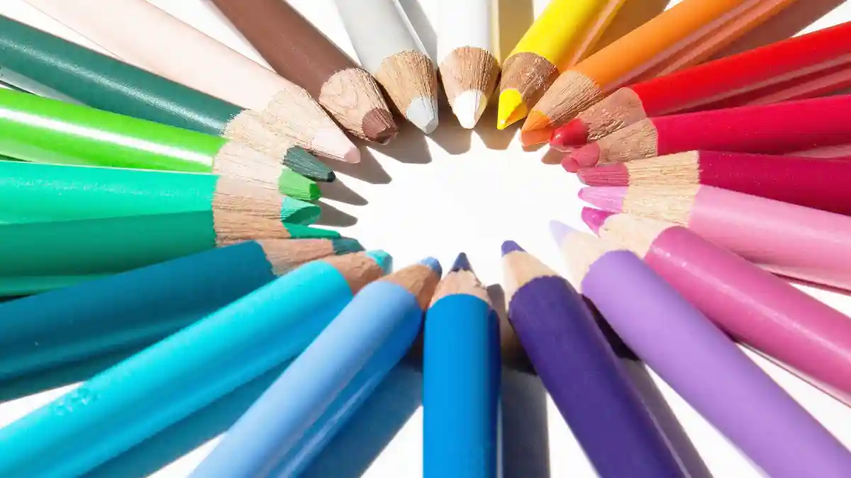 高知の文化祭カレンダー。大学・短大の学園祭日程まとめ【2025】