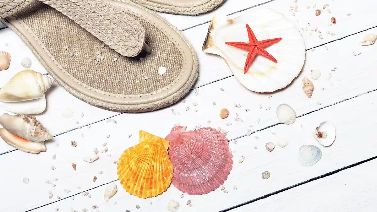 沖縄の文化祭カレンダー。大学・短大の学園祭日程まとめ【2025】