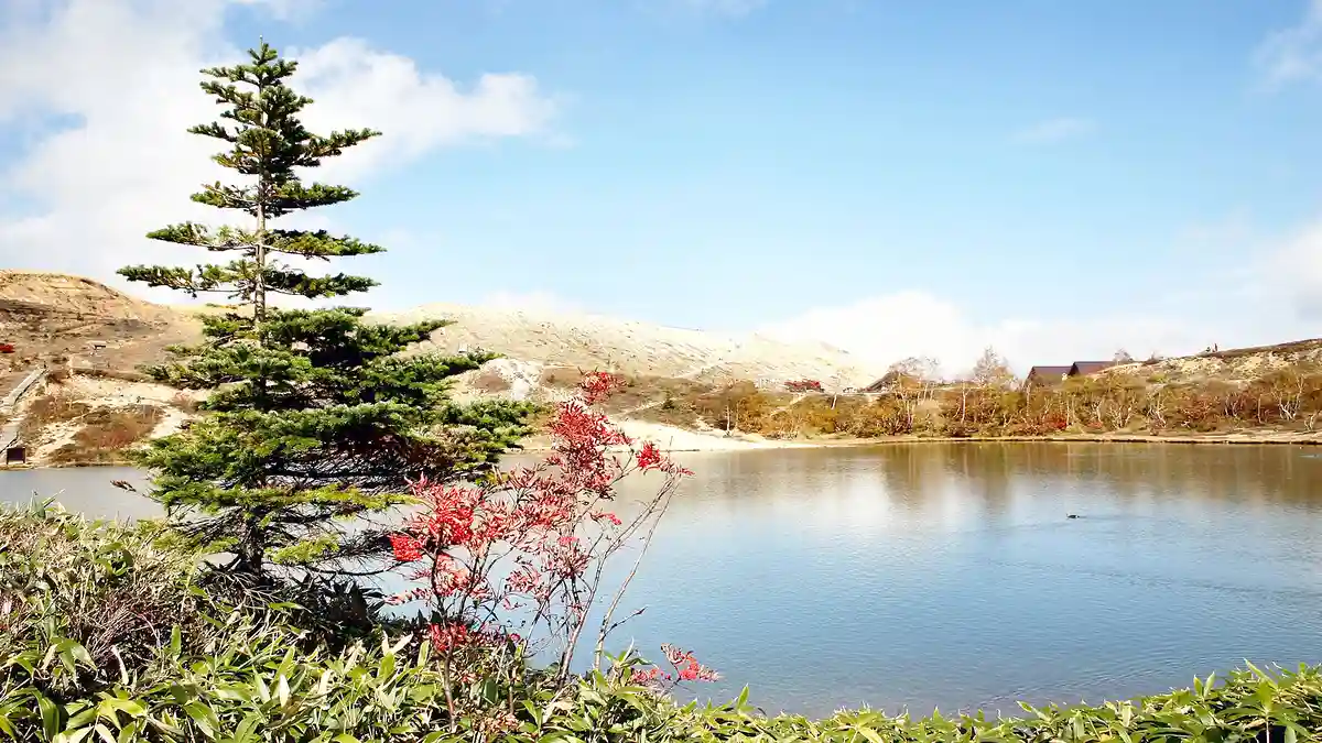 群馬の文化祭カレンダー。大学・短大の学園祭日程まとめ【2026】