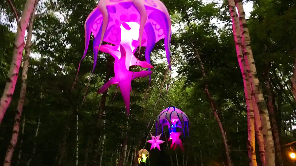 Photogenic music festivals recommended for autumn to winter