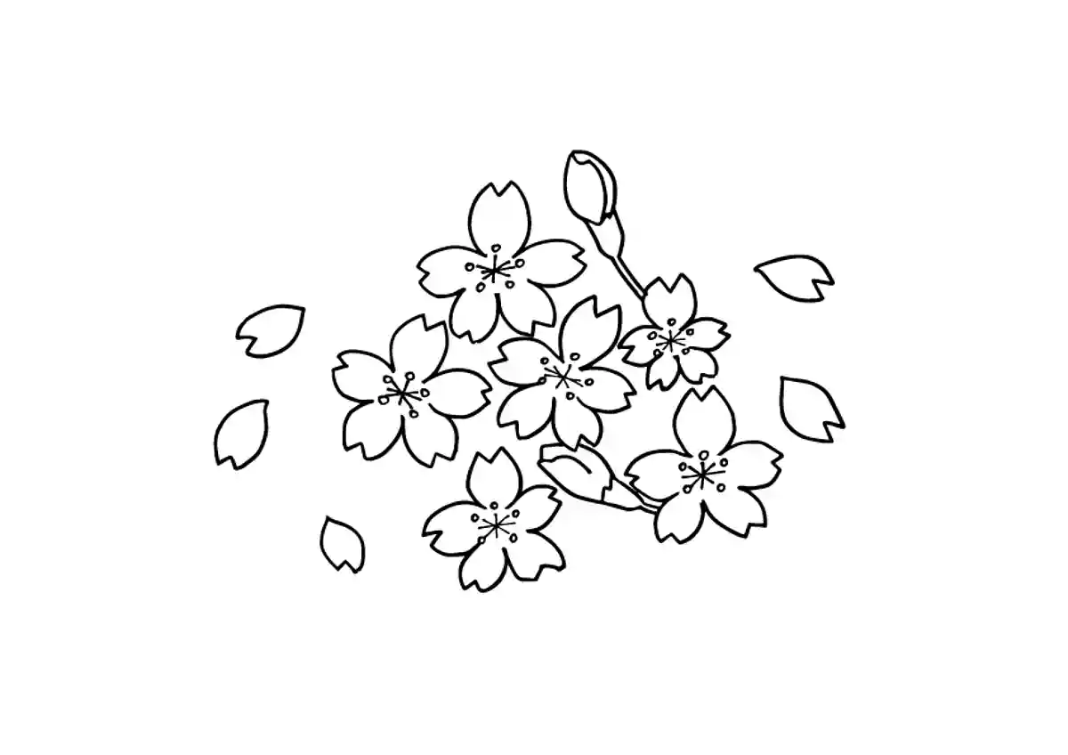 桜