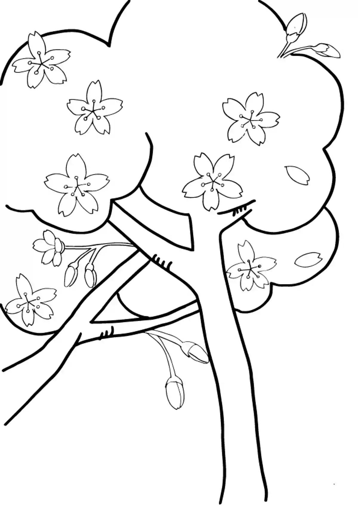 桜並木