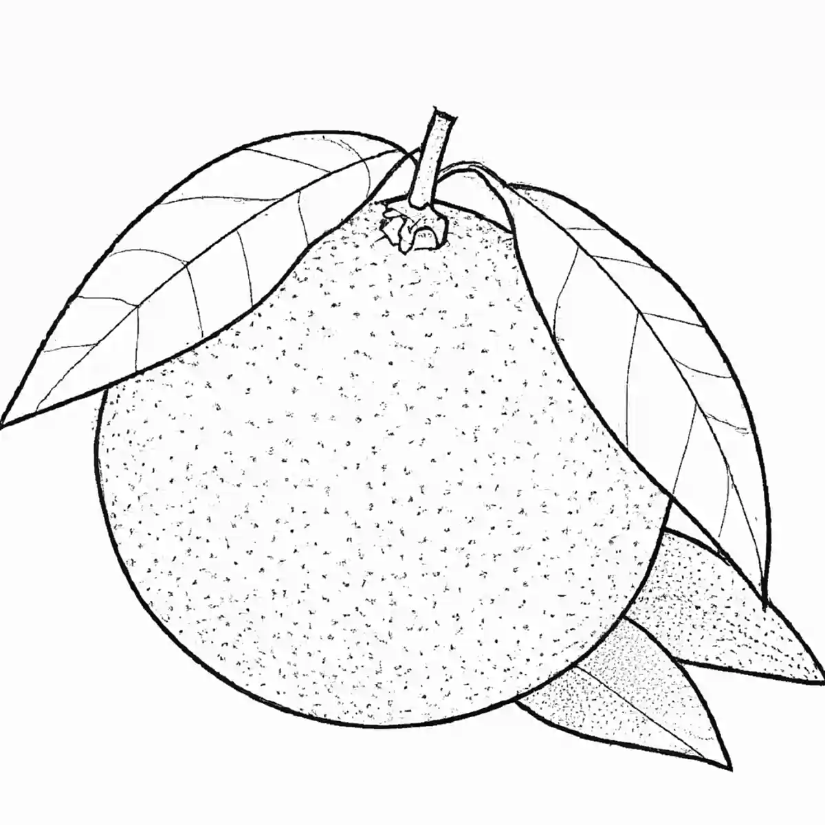 みかん