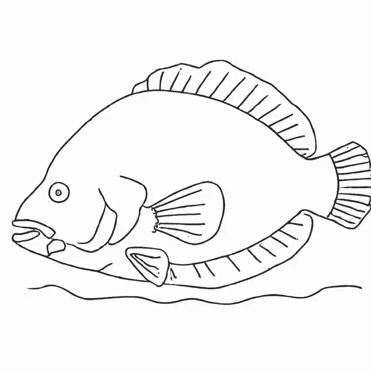 ヒラメ