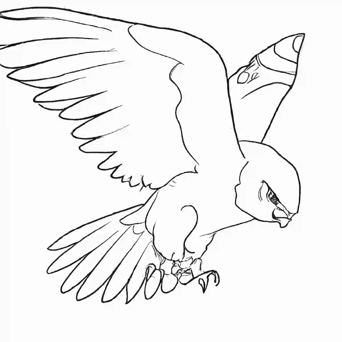 タカ