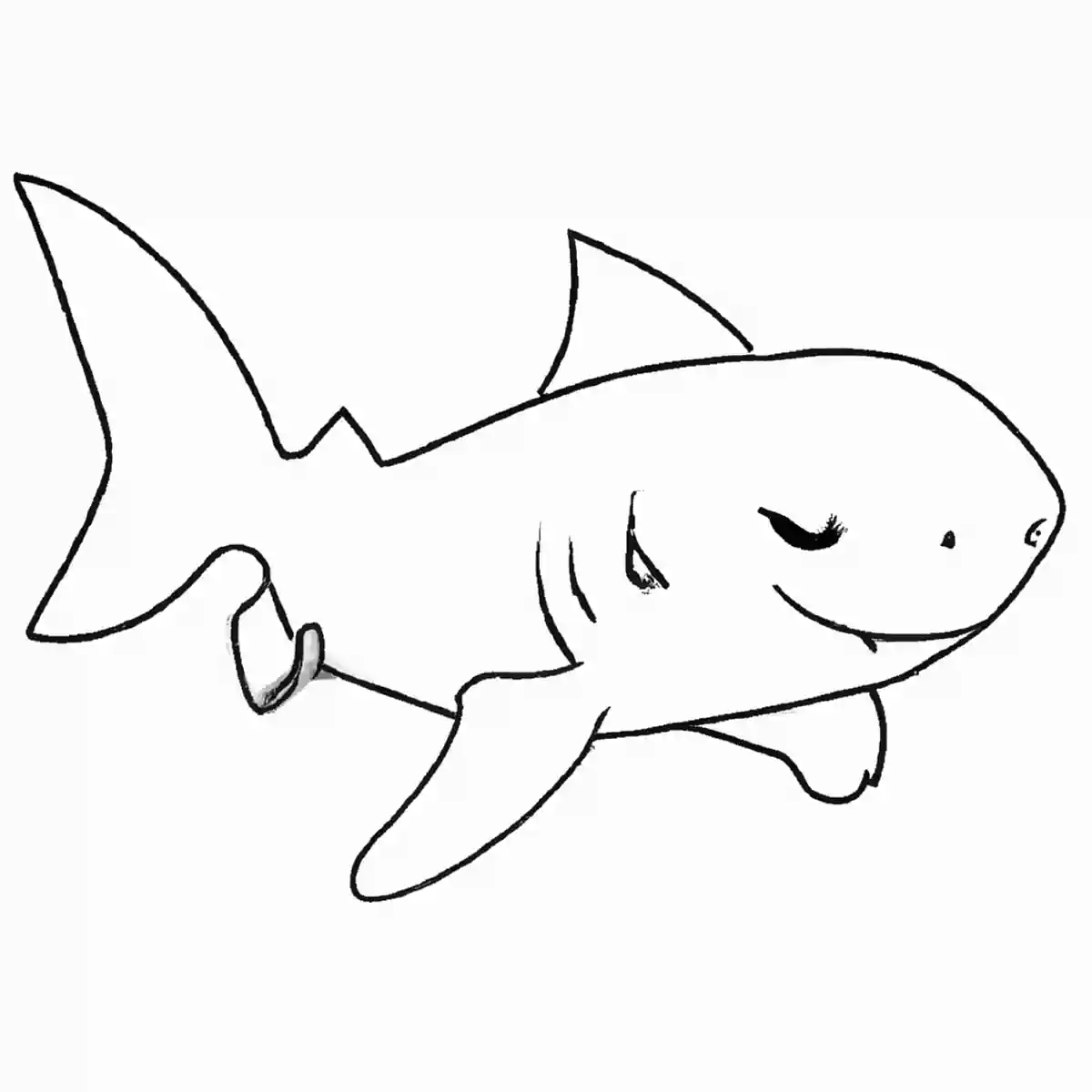 サメ