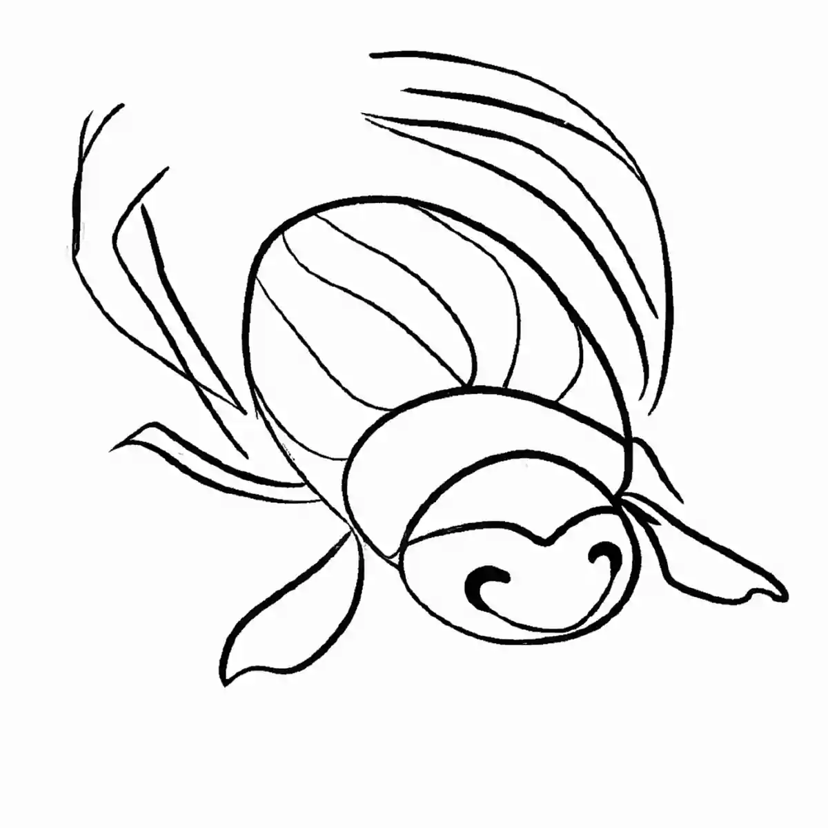 ゲンゴロウ