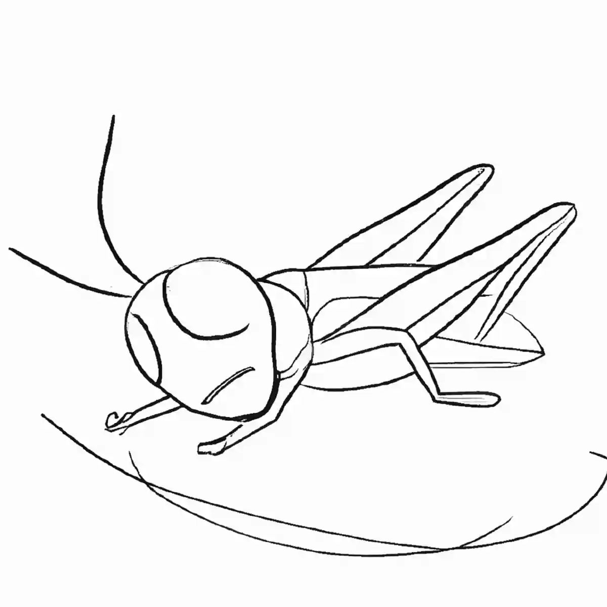 バッタ