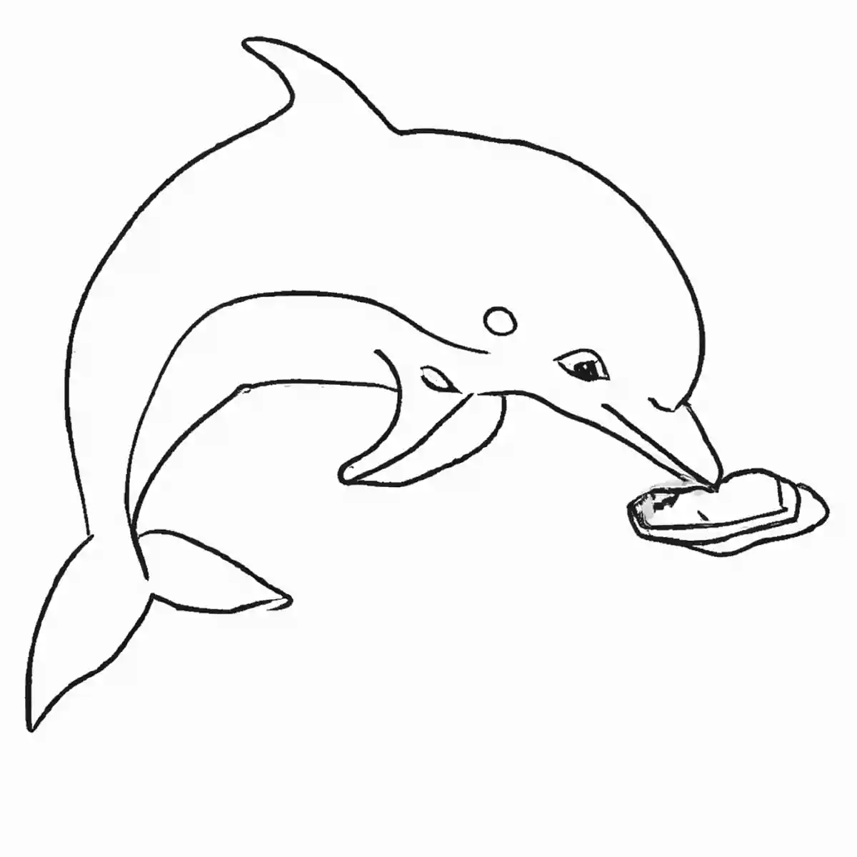 イルカ