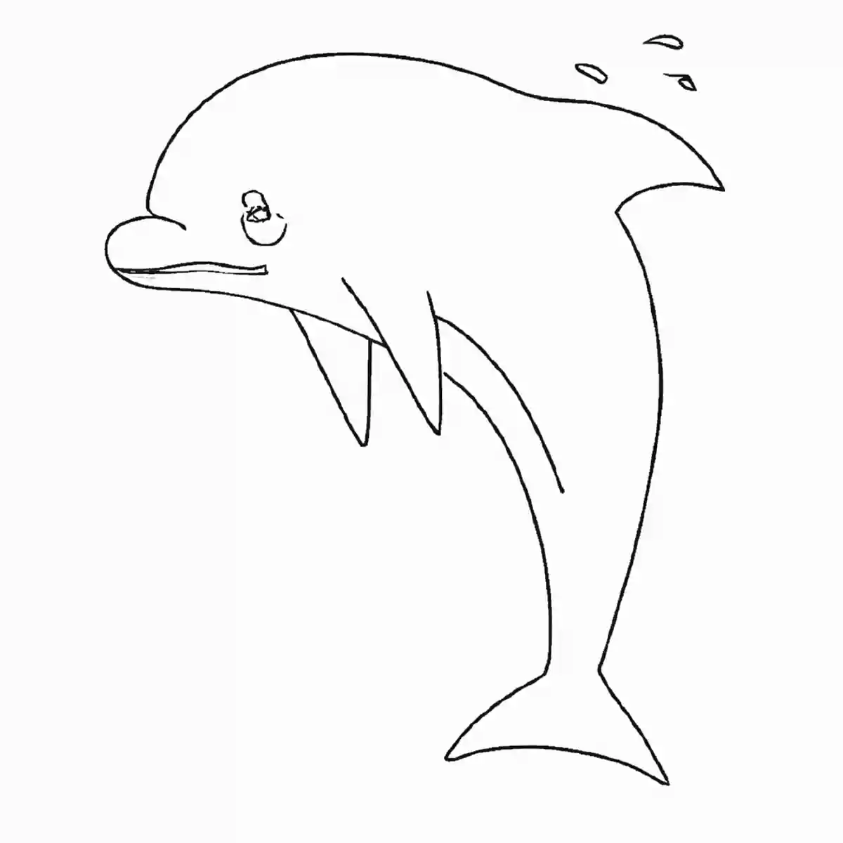イルカ