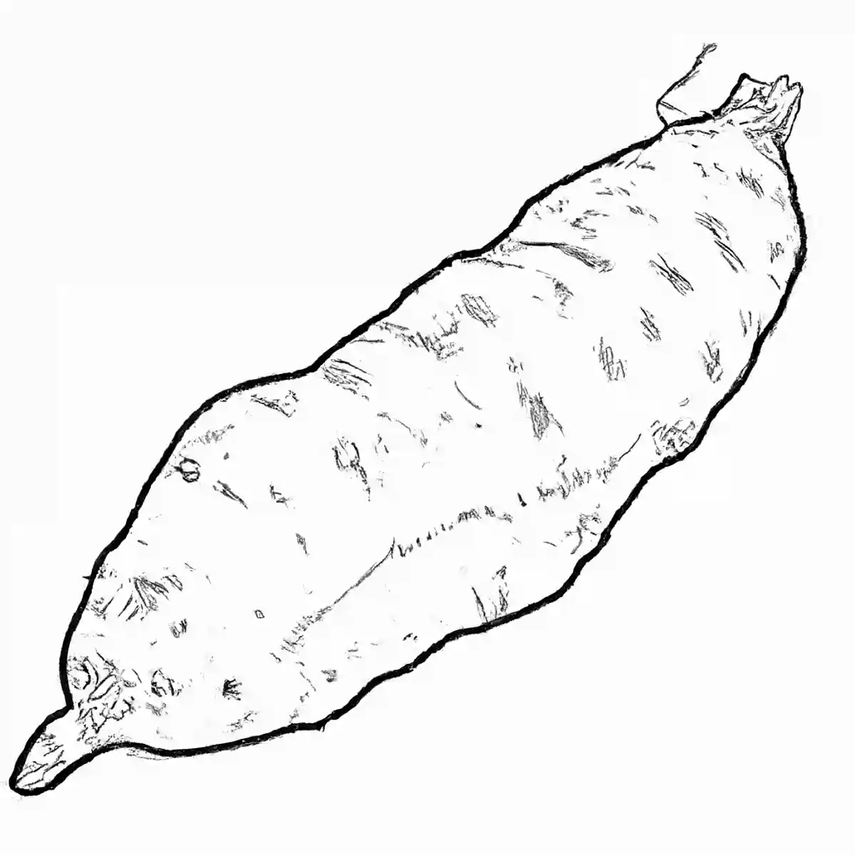 さつまいも