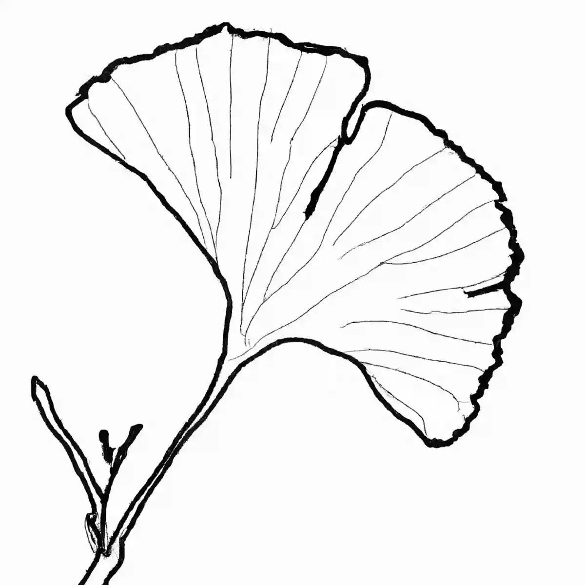 【11月の塗り絵】保育に活用したい塗り絵アイデア特集