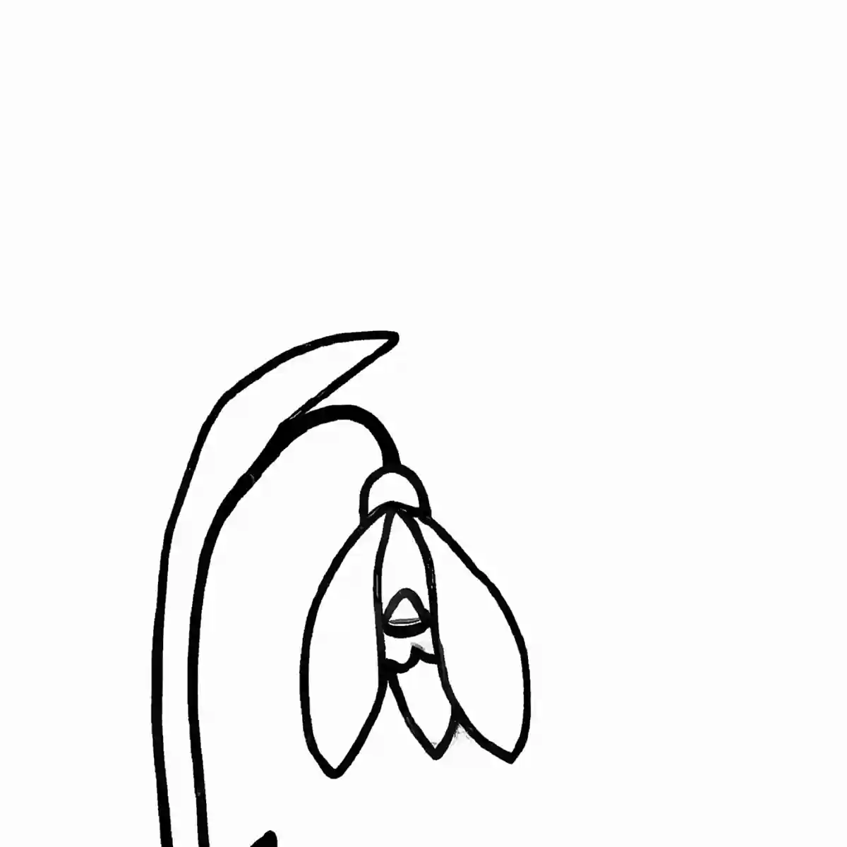 スノードロップ