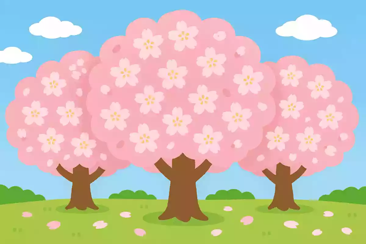 【桜クイズ】子供向けの桜に関する雑学&豆知識クイズ