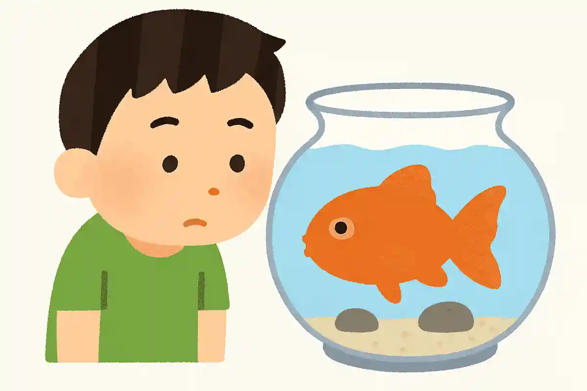 魚にはまぶたがある?ない?