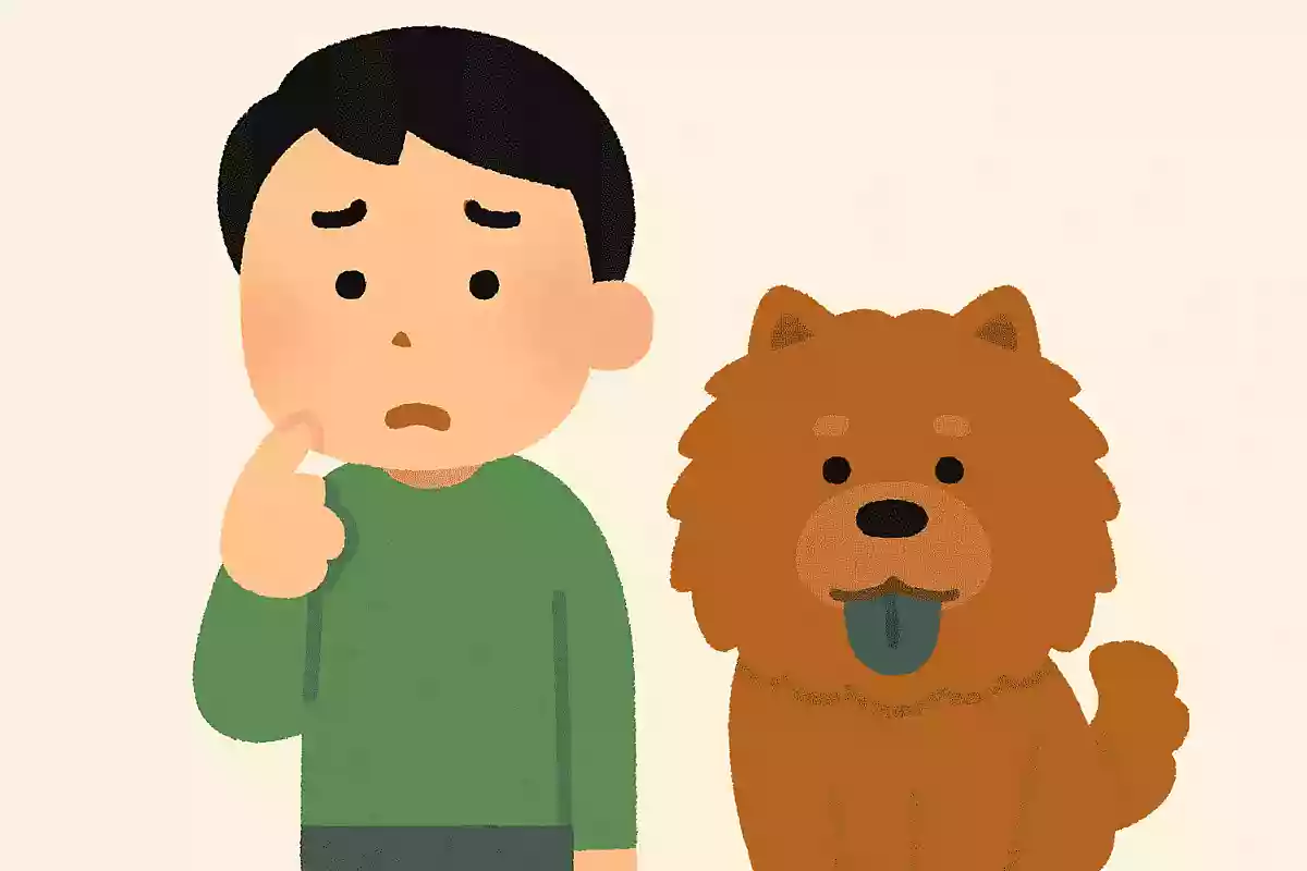 知らんけど言うたら知ってる風になるん知らんかったん知らんけど