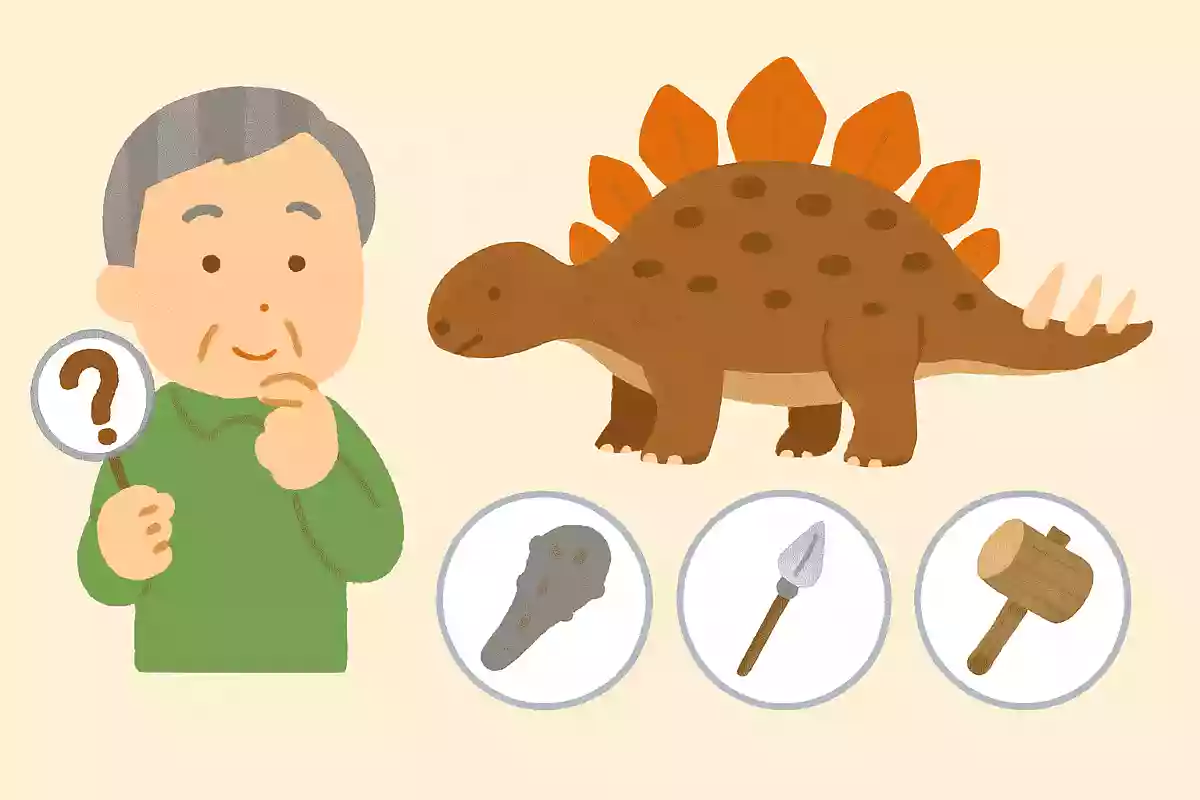 恐竜の中でも有名な「ステゴザウルス」ですが、敵の恐竜と戦うための武装は何でしょうか?