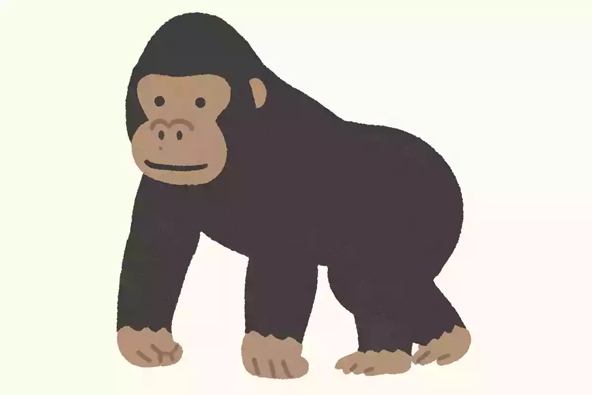 ゴリラの4足歩行はなんと呼ばれているでしょう？