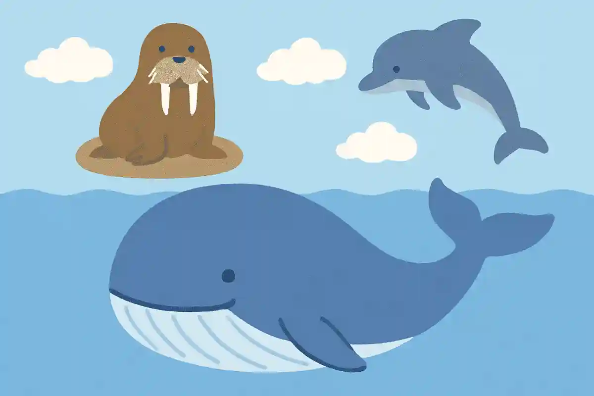 海、哺乳類、大きい