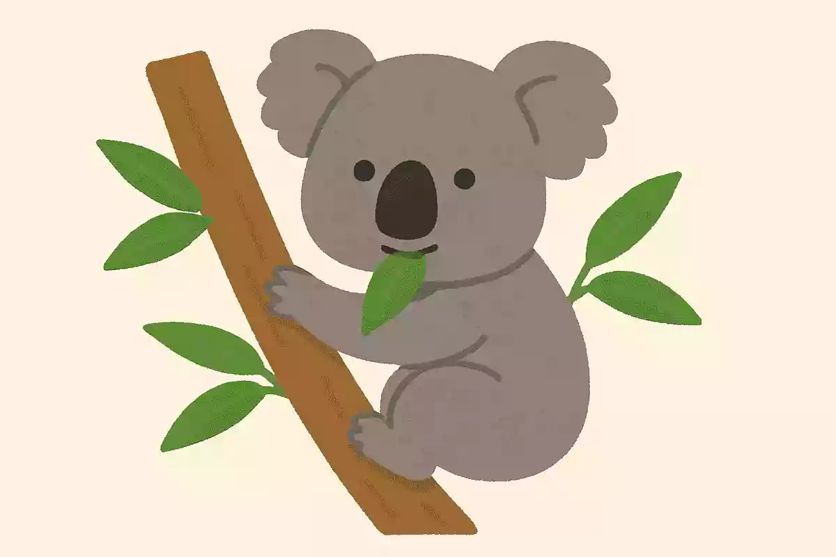 ユーカリの葉を食べる毛が灰色の動物は？
