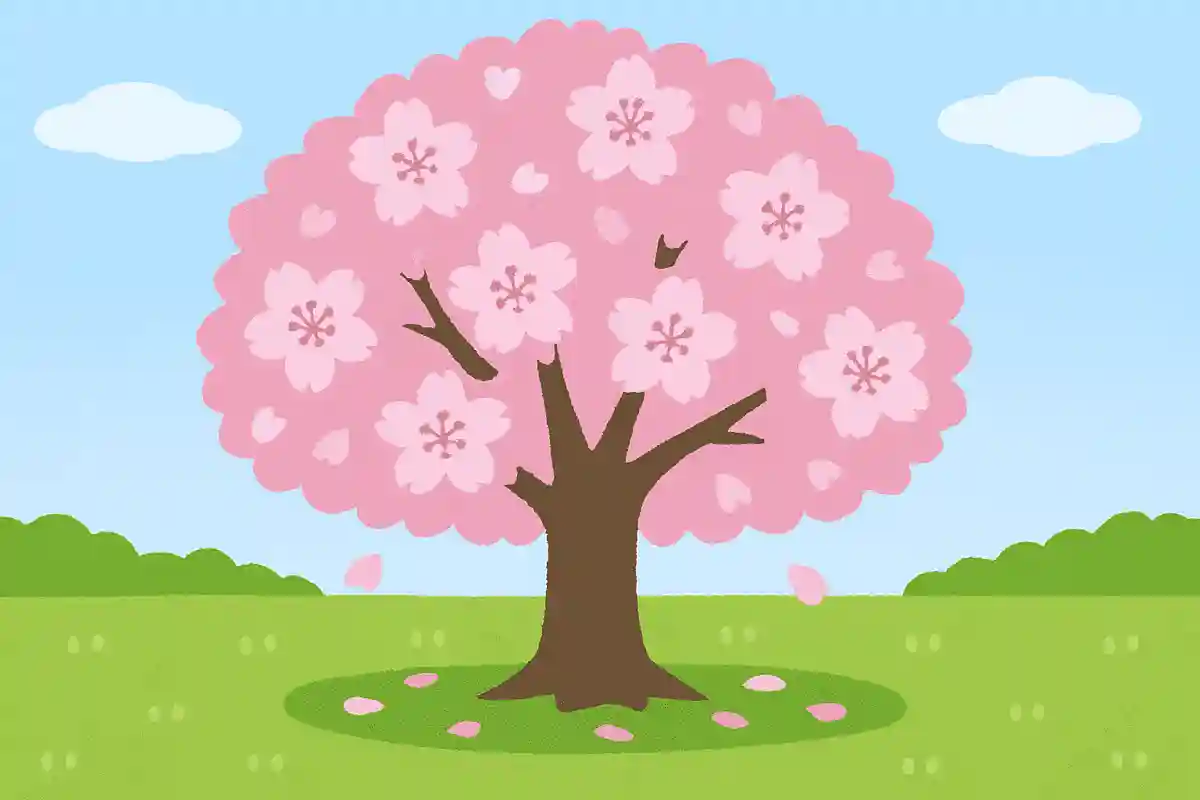日本で1番多く植えられている桜はどれでしょう？