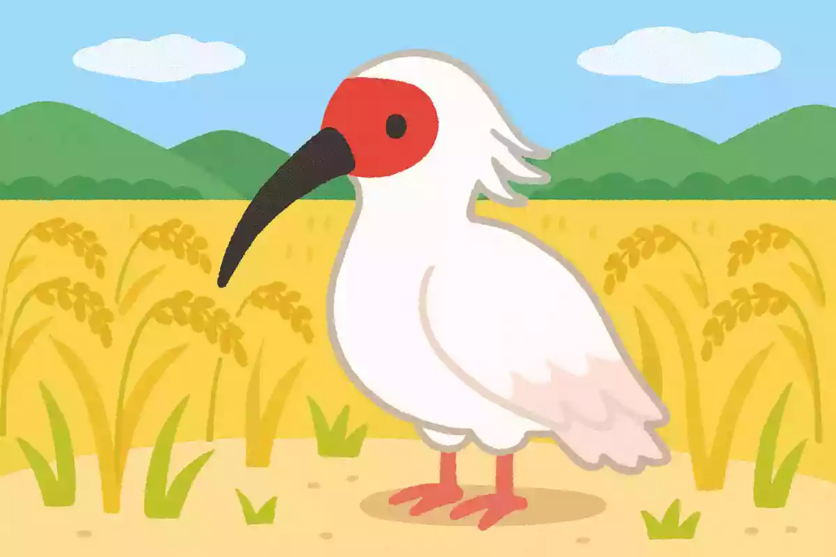 日本一の米どころで有名な新潟県。県の鳥に指定されている鳥は何というでしょうか？