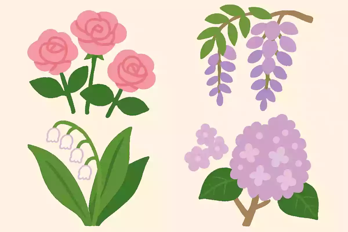 5月に良い香りがする花は何でしょうか?