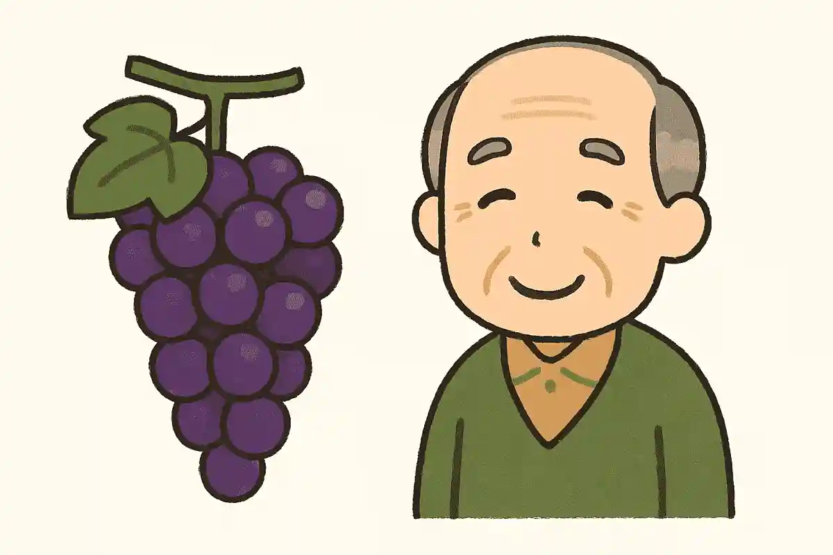 ぶどう一房の、枝から順に「上」「中心」「下」最も甘い部分はどこになるでしょうか?