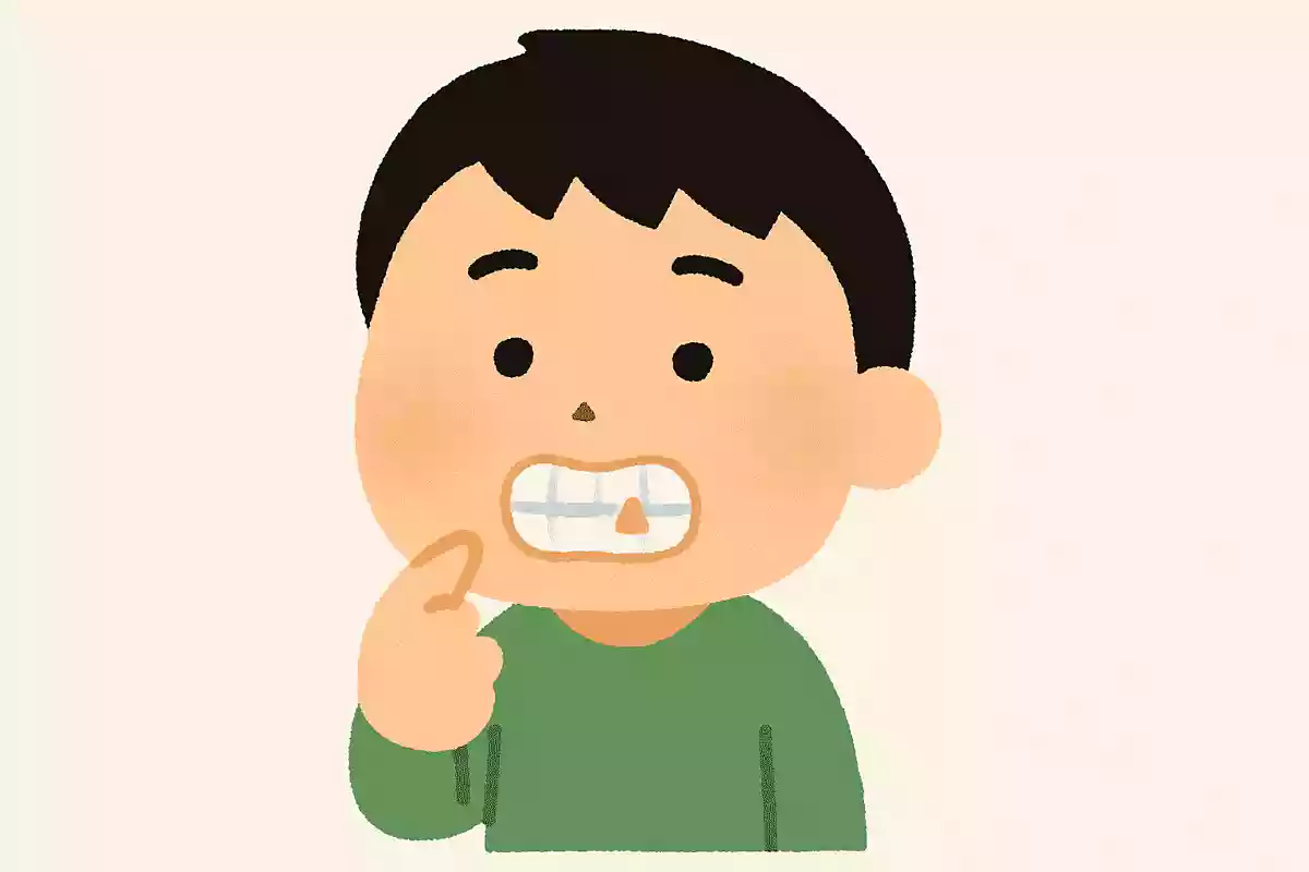 目や耳にはつきませんが、歯にはつくものとはなんでしょう?