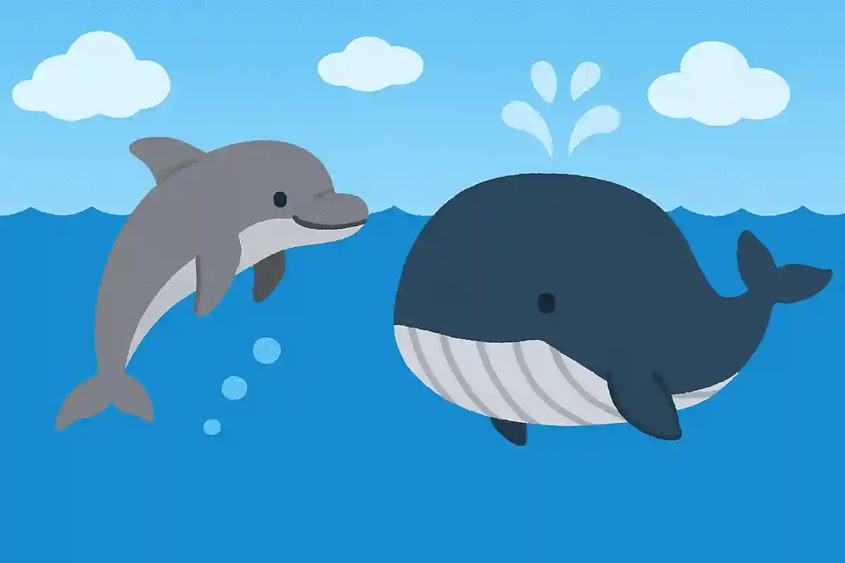 イルカとクジラの違いは?