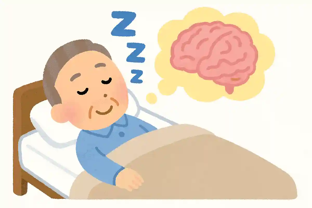 夢は寝ているとき、体がどのような状態のときに見るのでしょうか?