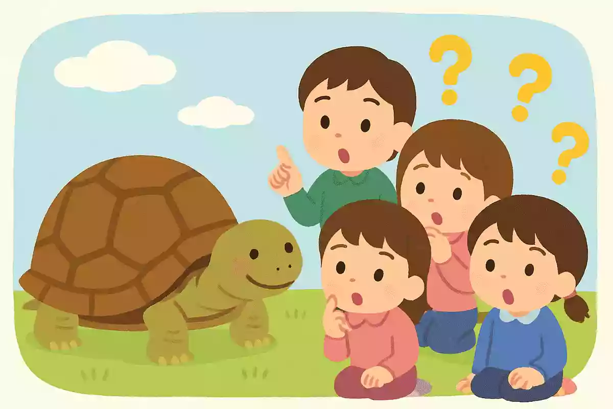 カメは長生きをすると言われています。一番長く生きたカメは何年でしょう？