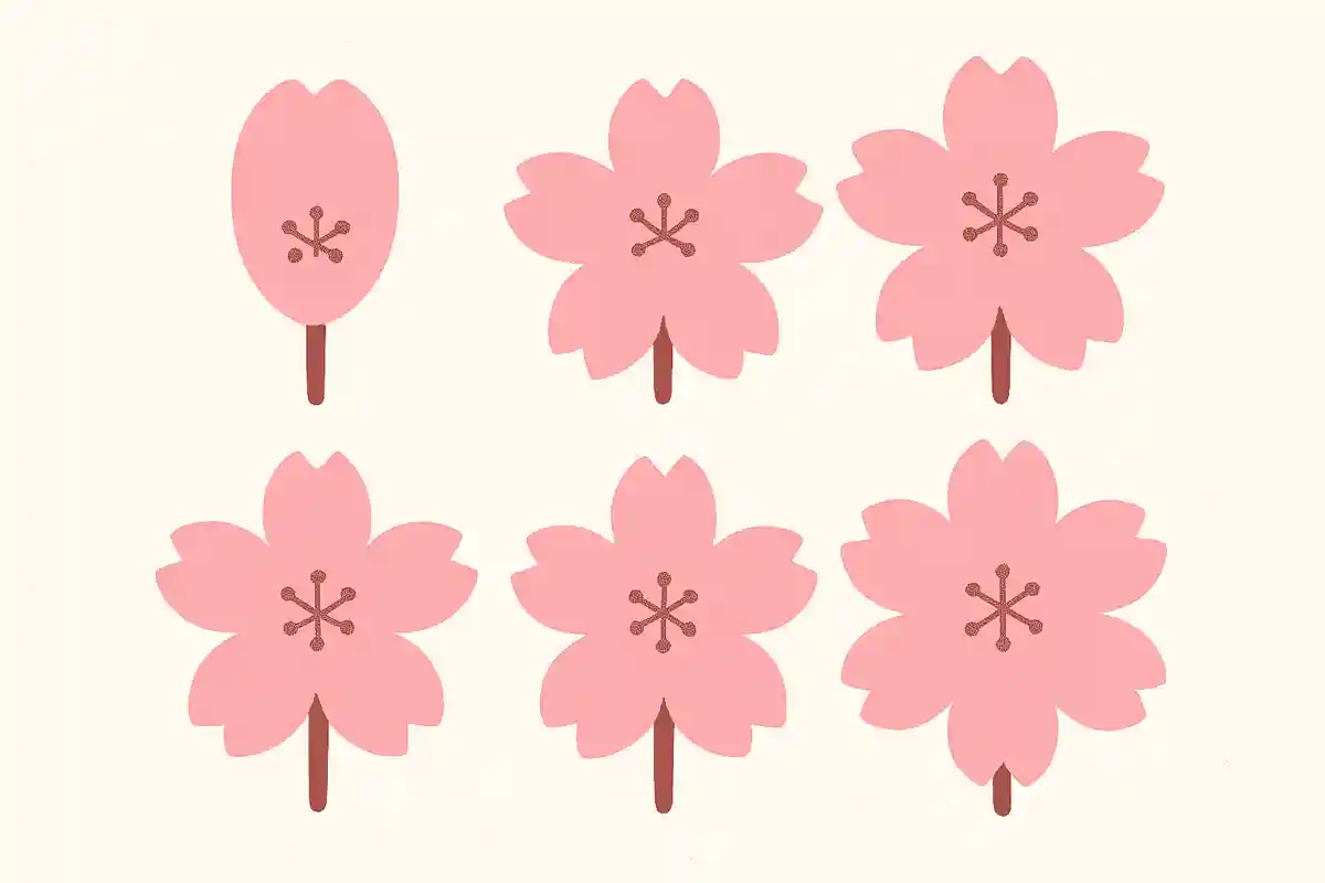 桜の花びらは基本的に何枚でしょう？