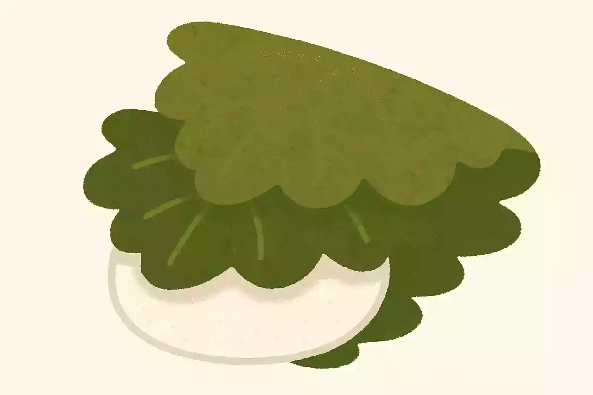 かしわ
