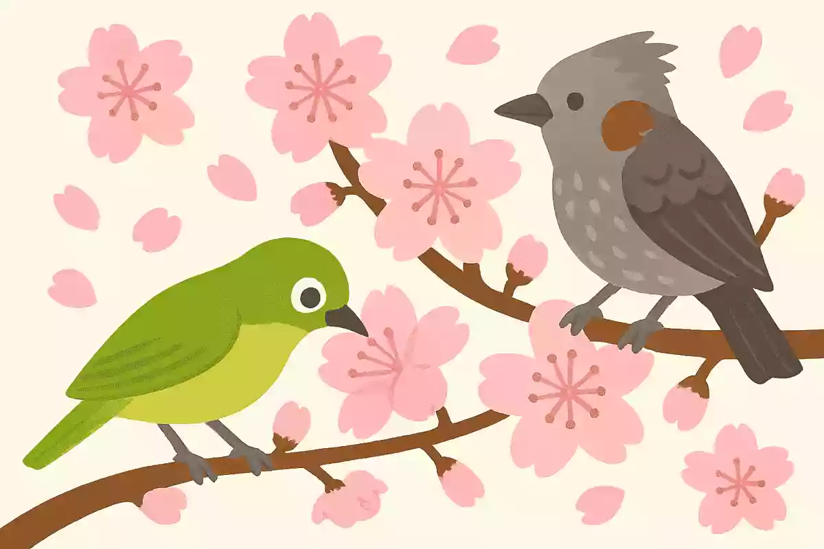 メジロやヒヨドリは桜の蜜を吸う
