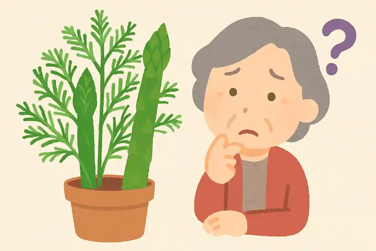 アスパラは元々、何をするためのものだったでしょうか？